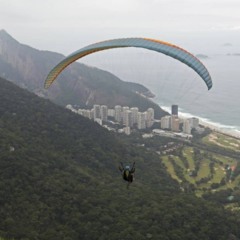 Segredos da maior floresta urbana do mundo, que você certamente conhece