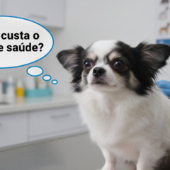 Quanto custa um plano de saúde para pets e o que ele realmente cobre?