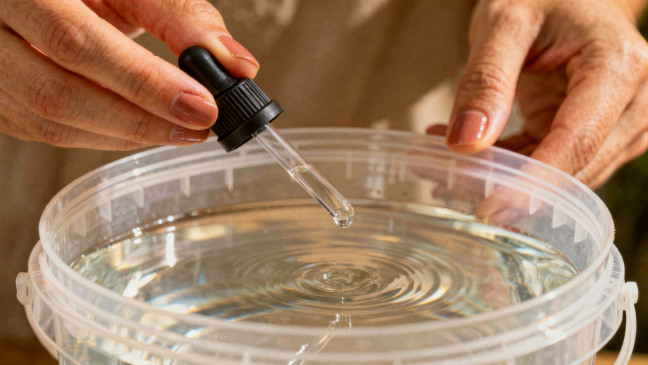Apenas três gotas de um desses ingredientes e sua casa fica com cheiro de limpeza o dia inteiro