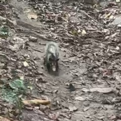 Divulga&ccedil;&atilde;o