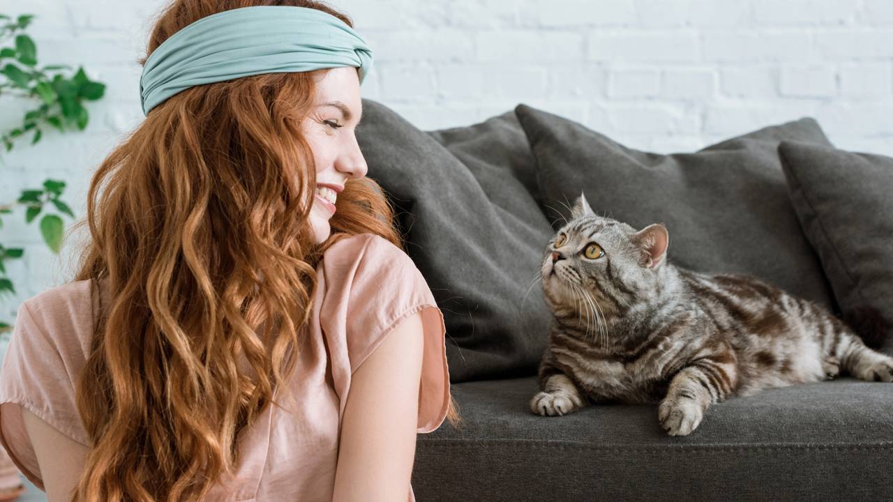 Gato atento com as orelhas erguidas, demonstrando que ouviu o chamado do tutor.