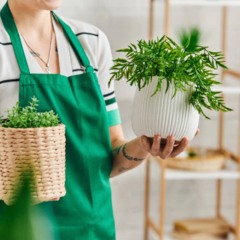 Plantar em casa sem quintal &eacute; poss&iacute;vel quando luz, vasos e rega est&atilde;o bem ajustados ao espa&ccedil;o.