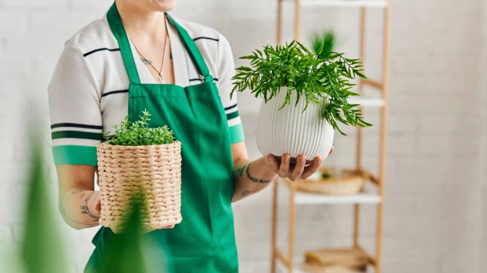 Plantar em casa sem quintal é possível quando luz, vasos e rega estão bem ajustados ao espaço. Plantar em casa sem quintal é possível quando luz, vasos e rega estão bem ajustados ao espaço.