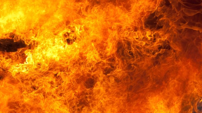 Créditos: depositphotos.com / darknula