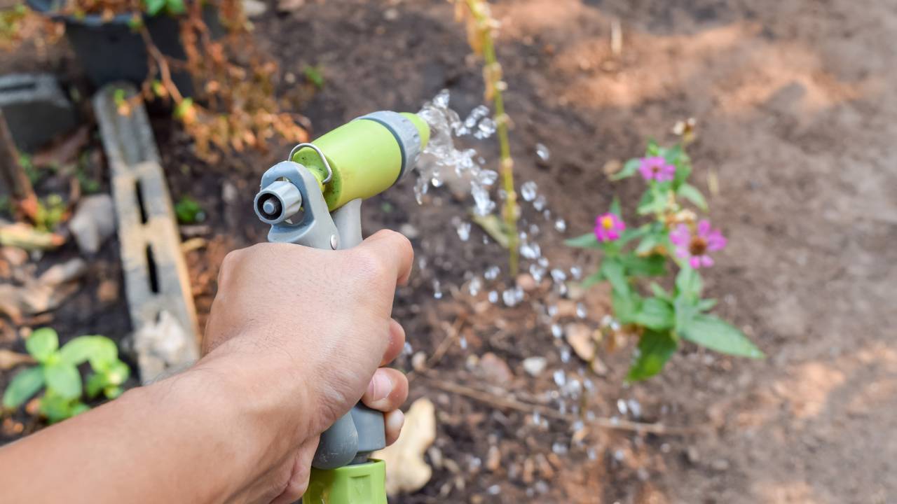 Rega de temperos no fim da tarde em área externa