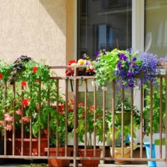 jardim funcional em varanda com vasos e plantas adaptadas a pequenos espaços
