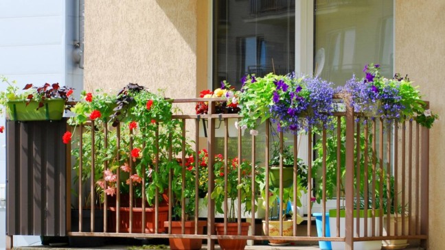 jardim funcional em varanda com vasos e plantas adaptadas a pequenos espaços