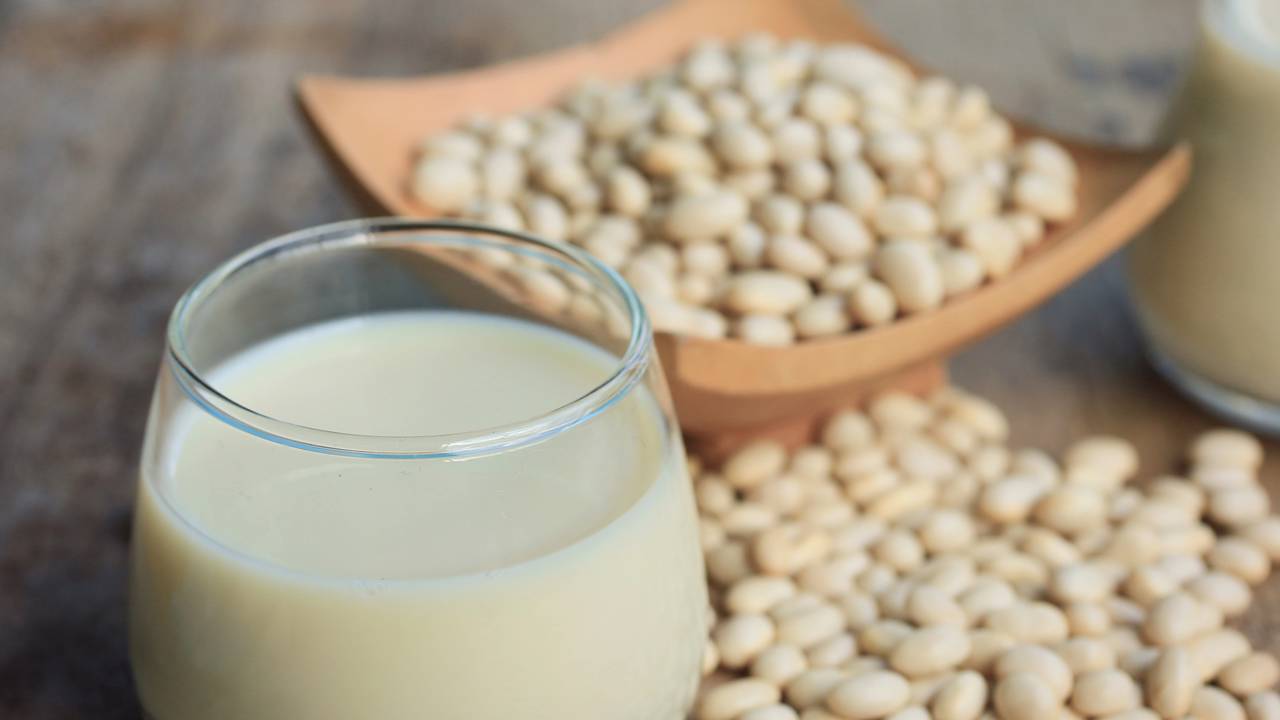 Quanto custa fazer leite vegetal em casa e economizar muito dinheiro, se comparar com as versões industrializadas?