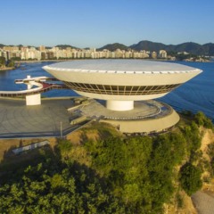 Créditos: depositphotos.com / Ranimiro