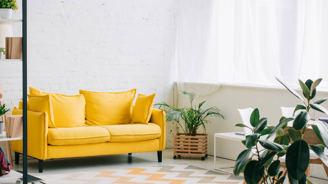 Plantas naturais dispostas em ambiente interno, com vasos decorativos integrados ao design de interiores e iluminação natural.