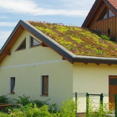 Telhado verde em edif&iacute;cio residencial em Niter&oacute;i com plantas cobrindo a laje, ajudando no conforto t&eacute;rmico e na sustentabilidade urbana.