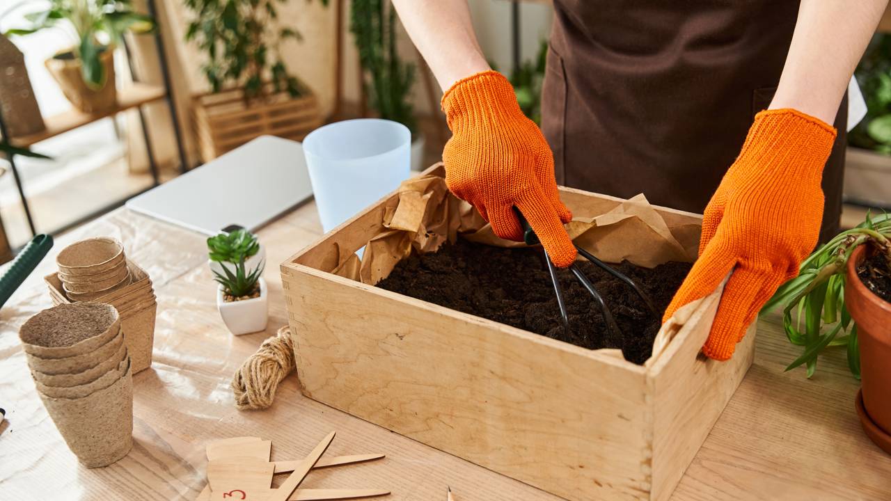 Solo compactado dificulta o crescimento e enfraquece as plantas da horta.