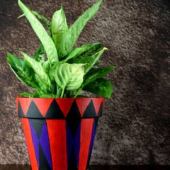 Vaso pintado &agrave; m&atilde;o sendo usado para plantar sementes em ambiente dom&eacute;stico