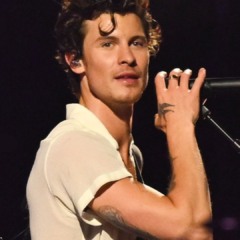 VÍDEO: Shawn Mendes desembarca no Rio e chama atenção