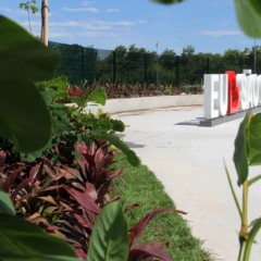 Foto: Fabio Guimarães