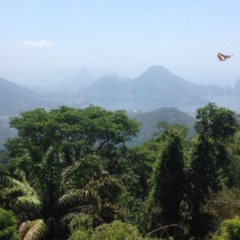 Estes parques nacionais no RJ oferecem silêncio, paisagens impressionantes e contato real com a natureza
