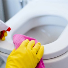 Limpeza frequente evita o uso de produtos agressivos no vaso sanitário.