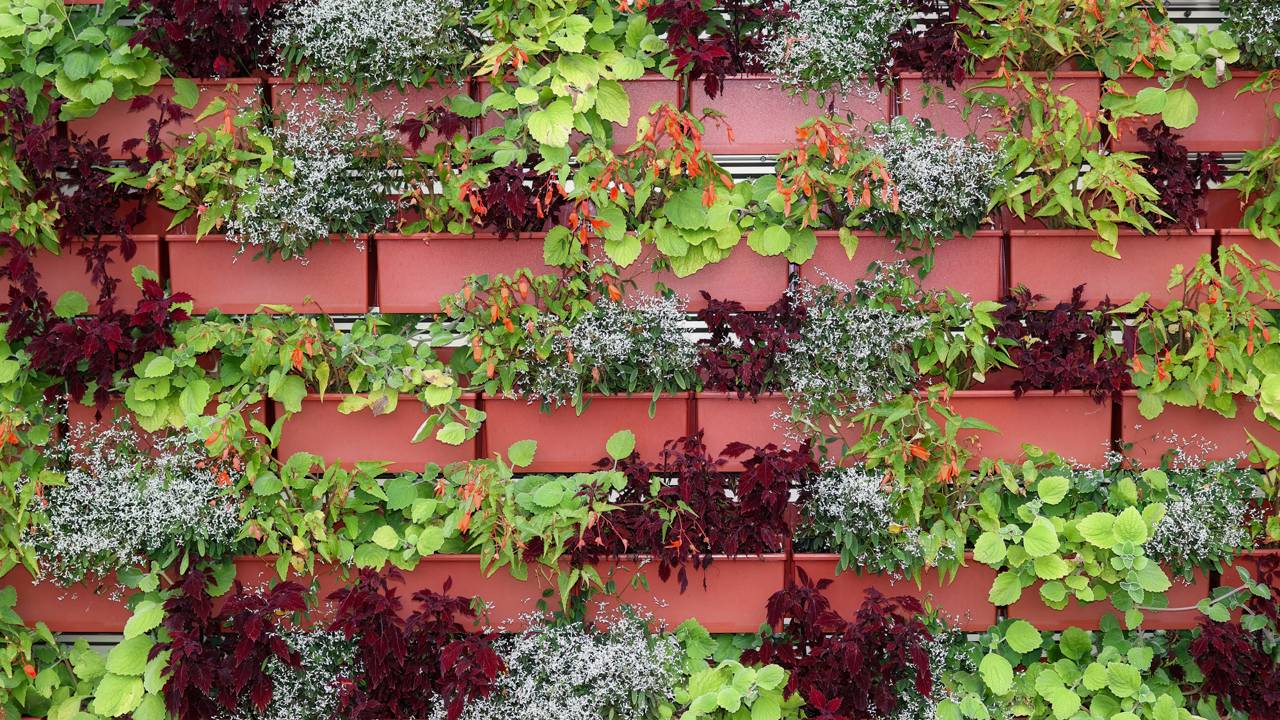 Jardim vertical simples ideal para quem mora em apartamento alugado.