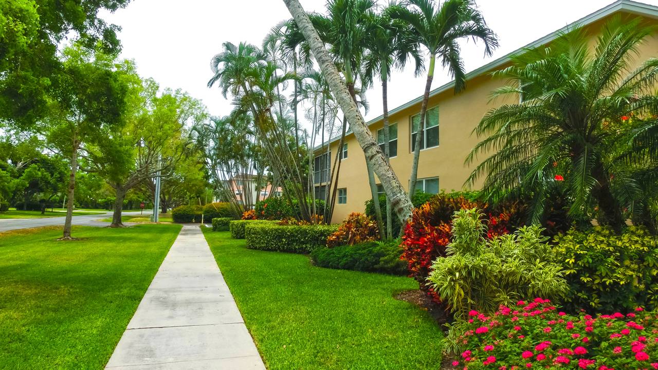 Entrada de casa com paisagismo limpo e bem cuidado.